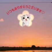 ヒメ日記 2026/05/23 23:42 投稿 くみ 那須塩原人妻花壇