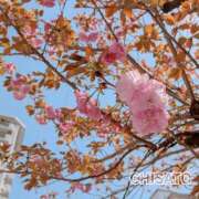 ヒメ日記 2025/04/08 15:09 投稿 ちさと 清楚