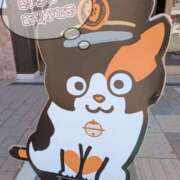 ヒメ日記 2026/03/18 20:49 投稿 ちさと 清楚