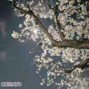 ヒメ日記 2026/04/11 11:58 投稿 ちさと 清楚