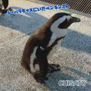 ヒメ日記 2026/05/22 09:33 投稿 ちさと 清楚