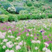 ヒメ日記 2026/06/26 13:22 投稿 ちさと 清楚