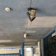 ヒメ日記 2025/06/07 02:30 投稿 天国(てんちゃん) YDHやまぐちデリバリーヘルス（山口、新山口、防府、宇部）