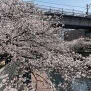 ヒメ日記 2025/04/10 12:40 投稿 岡崎 昼顔妻 五反田店