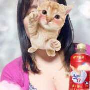 ヒメ日記 2025/04/08 21:07 投稿 じゅりあ 池袋モンデミーテ（シンデレラグループ）