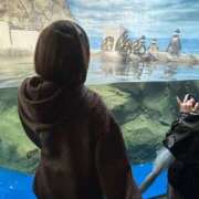 ヒメ日記 2025/04/17 07:37 投稿 おるか ベイキュート