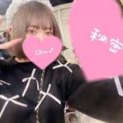 ヒメ日記 2025/05/08 08:29 投稿 おるか ベイキュート