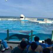 ヒメ日記 2025/07/22 11:27 投稿 おるか ベイキュート