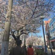 ヒメ日記 2026/04/04 06:07 投稿 おるか ベイキュート