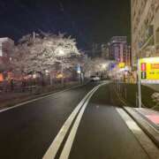 ヒメ日記 2026/04/05 00:27 投稿 おるか ベイキュート