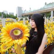 ヒメ日記 2025/08/17 16:46 投稿 ルナ マテリアル