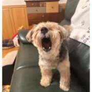 ヒメ日記 2025/09/26 03:01 投稿 ルナ マテリアル