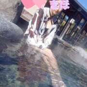 ヒメ日記 2025/04/09 11:48 投稿 きほ スイカ