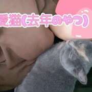 ヒメ日記 2025/04/09 15:15 投稿 きほ スイカ