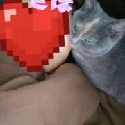 ヒメ日記 2025/05/04 22:22 投稿 きほ スイカ