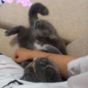 ヒメ日記 2025/05/11 17:14 投稿 きほ スイカ