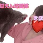 ヒメ日記 2025/06/11 16:32 投稿 きほ スイカ