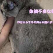 ヒメ日記 2025/10/29 11:25 投稿 きほ スイカ