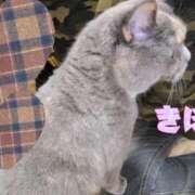 ヒメ日記 2025/12/07 12:44 投稿 きほ スイカ