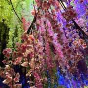 ヒメ日記 2025/04/08 10:28 投稿 西田千里(ちさと) 東京不倫～とうきょうふりん～