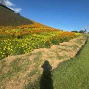 ヒメ日記 2025/04/09 11:35 投稿 アヤカ ソープランドMAX‐マックス- 浅草店