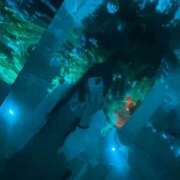 ヒメ日記 2025/04/26 15:25 投稿 アヤカ ソープランドMAX‐マックス- 浅草店