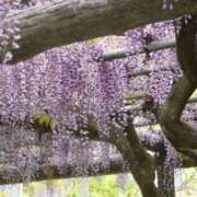 ヒメ日記 2025/05/10 08:15 投稿 アヤカ ソープランドMAX‐マックス- 浅草店