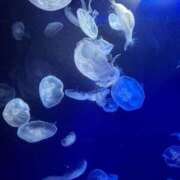 ヒメ日記 2025/07/09 16:41 投稿 アヤカ ソープランドMAX‐マックス- 浅草店