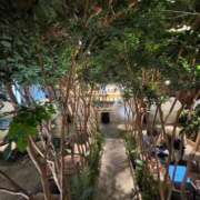 ヒメ日記 2025/07/14 22:15 投稿 アヤカ ソープランドMAX‐マックス- 浅草店