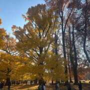 ヒメ日記 2025/07/29 21:55 投稿 アヤカ ソープランドMAX‐マックス- 浅草店