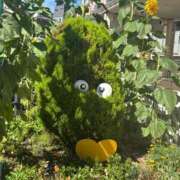 ヒメ日記 2025/08/02 09:45 投稿 アヤカ ソープランドMAX‐マックス- 浅草店