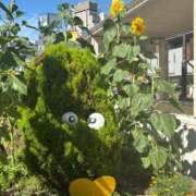 ヒメ日記 2025/09/06 09:45 投稿 アヤカ ソープランドMAX‐マックス- 浅草店