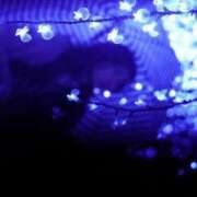 ヒメ日記 2025/10/08 10:45 投稿 アヤカ ソープランドMAX‐マックス- 浅草店