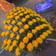 ヒメ日記 2025/10/24 11:35 投稿 アヤカ ソープランドMAX‐マックス- 浅草店