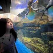 ヒメ日記 2025/11/13 13:15 投稿 アヤカ ソープランドMAX‐マックス- 浅草店