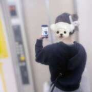 ヒメ日記 2025/04/21 23:40 投稿 さな 千葉ミセスアロマ（ユメオト）