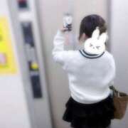 ヒメ日記 2025/04/29 10:20 投稿 さな 千葉ミセスアロマ（ユメオト）