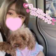 ヒメ日記 2025/04/13 15:42 投稿 いのは サンキュー福岡店