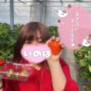 ヒメ日記 2025/04/18 14:19 投稿 いのは サンキュー福岡店