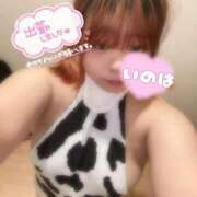 ヒメ日記 2025/05/17 16:49 投稿 いのは サンキュー福岡店