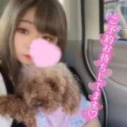 いのは 🐶しか勝たん︎💕︎ サンキュー福岡店