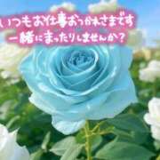 ヒメ日記 2025/04/09 14:07 投稿 山脇かずみ ローテンブルク