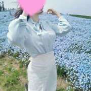 ヒメ日記 2025/04/17 10:44 投稿 山脇かずみ ローテンブルク