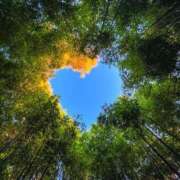 ヒメ日記 2025/05/03 21:45 投稿 山脇かずみ ローテンブルク