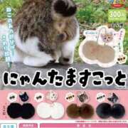 ヒメ日記 2025/05/30 19:12 投稿 山脇かずみ ローテンブルク