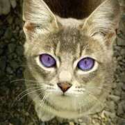 ヒメ日記 2025/06/07 21:42 投稿 山脇かずみ ローテンブルク