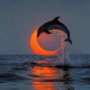 ヒメ日記 2025/08/05 22:37 投稿 山脇かずみ ローテンブルク