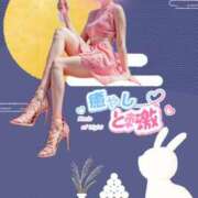 ヒメ日記 2025/08/31 15:00 投稿 山脇かずみ ローテンブルク