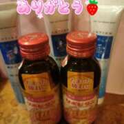 ヒメ日記 2025/09/03 15:19 投稿 山脇かずみ ローテンブルク