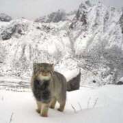 ヒメ日記 2025/09/21 22:21 投稿 山脇かずみ ローテンブルク